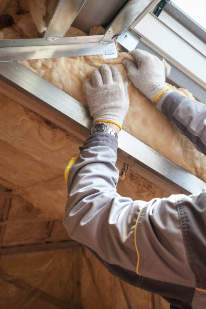 Best Eco-Friendly or Green Insulation Solutions  in Chester, CA